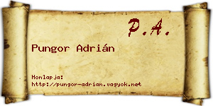 Pungor Adrián névjegykártya