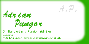 adrian pungor business card